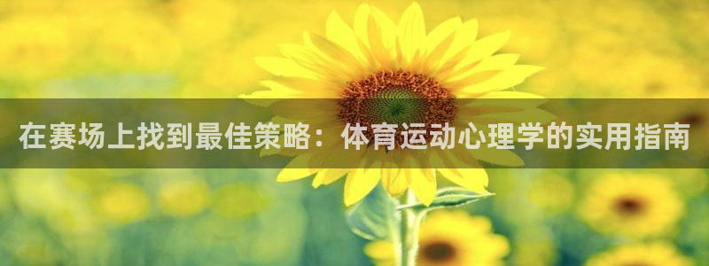 v体育官网app：在赛场上找到最佳策略：体育运动心理学的实用指南