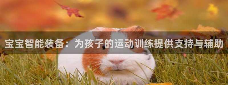 V体育在线