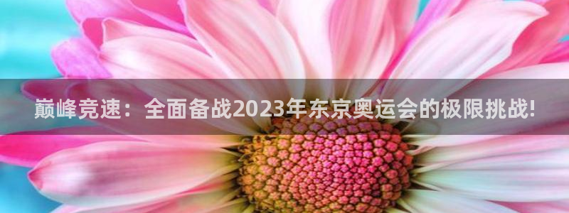 v体育官网