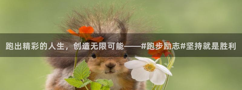 V体育在线登录入口