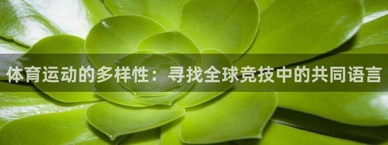 v体育官网app：体育运动的多样性：寻找全球竞技中的共同语言